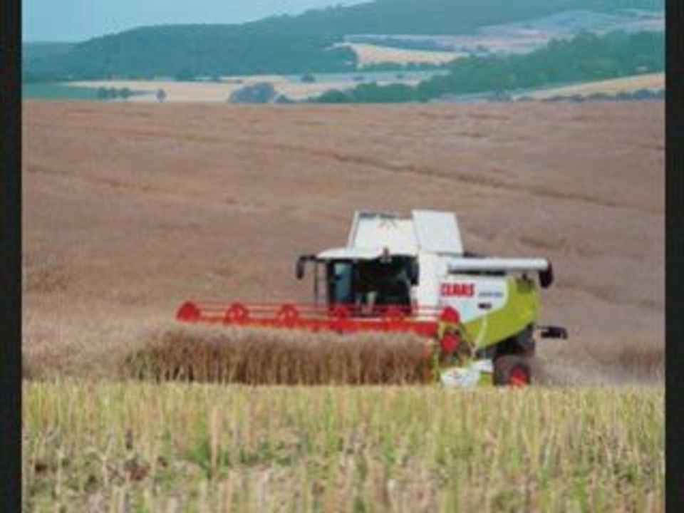 Moissonneuse batteuse claas