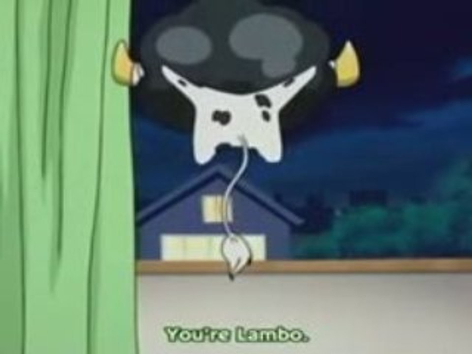 Lambo-san  mdr !