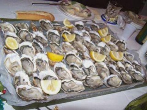 Montage photos fontbonne 2008-2009