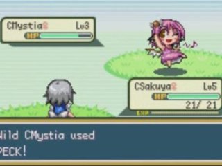 Touhou Ningyougeki - First Wild Battle!