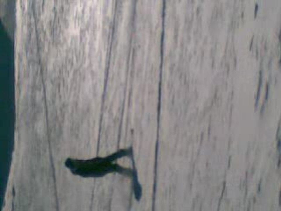 Snowboard