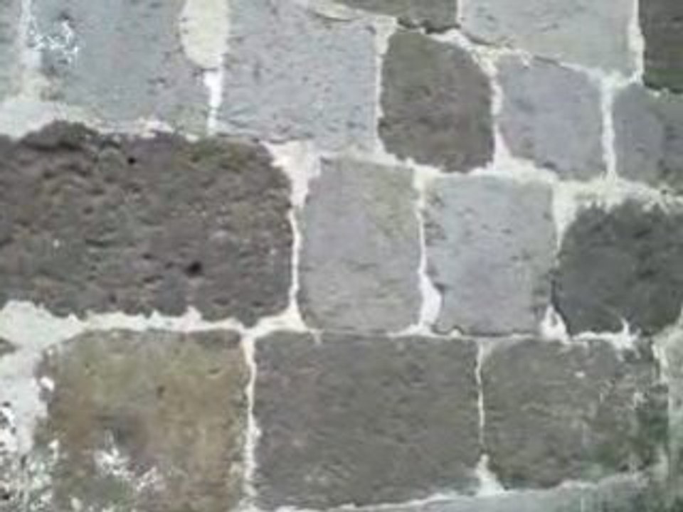 Tauves: Mur de l'église.