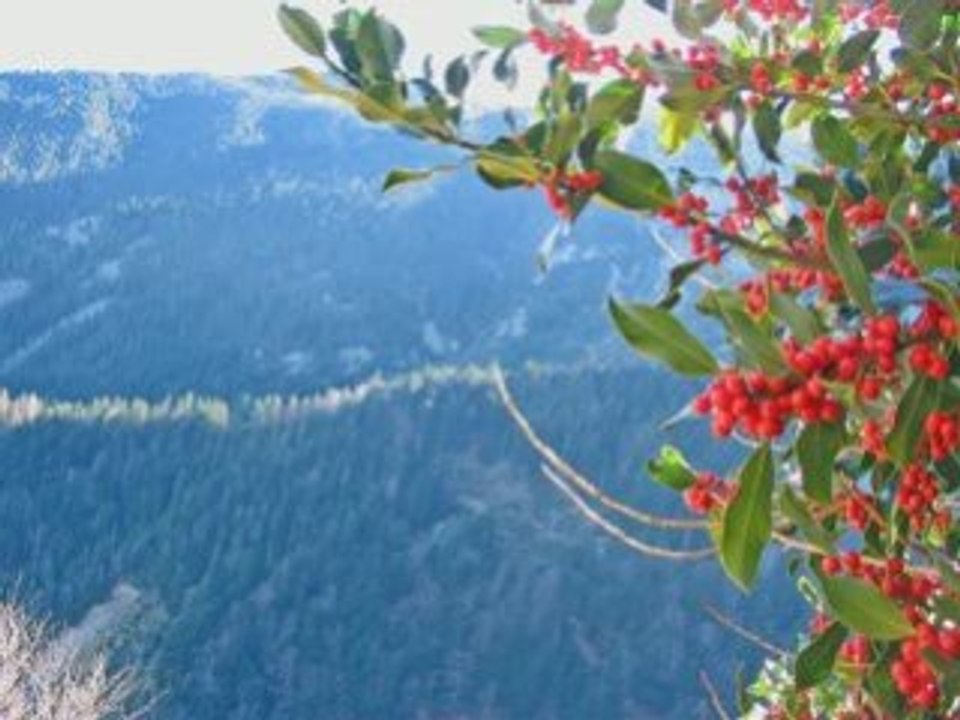 LE BALCON DU CANIGOU