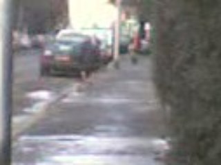 une vieille femme ki mé lé feuilles du trottoir sur la route