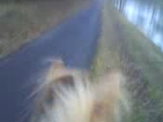 Pilou trot second canal