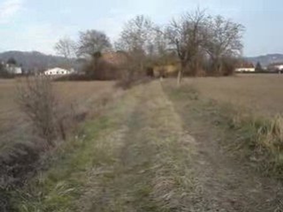 DEVANT LIGNE DROITE