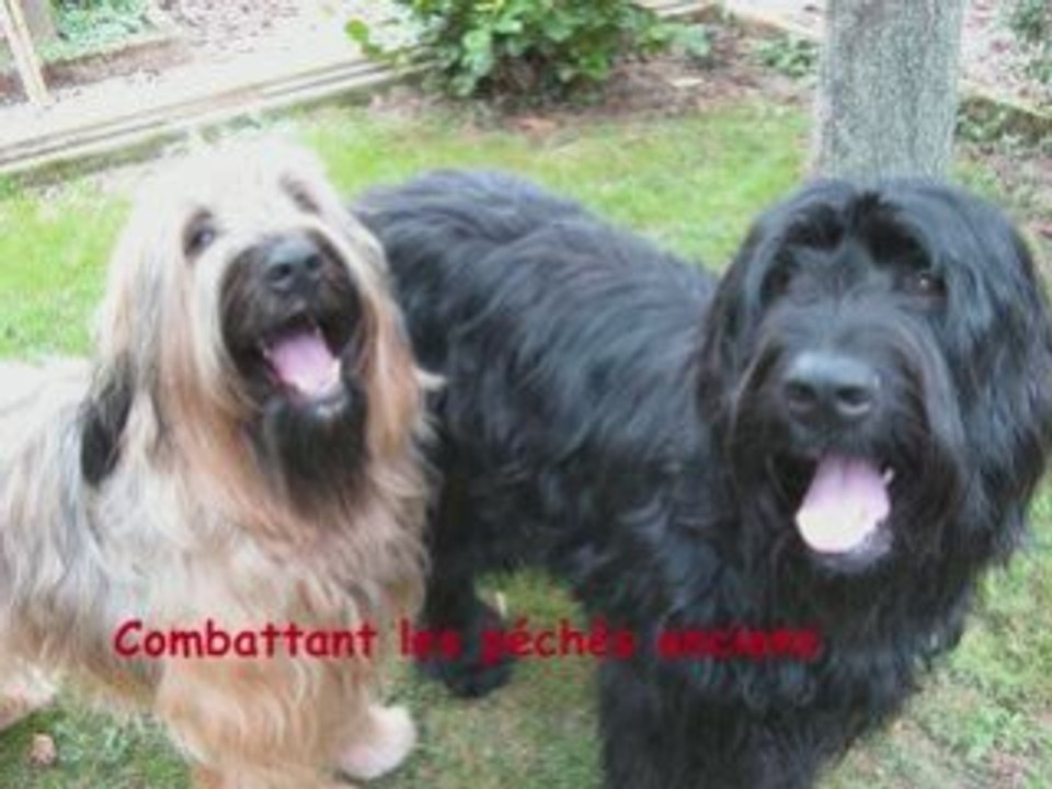 Cesar et clovis