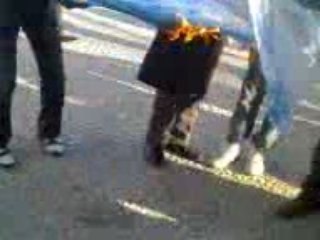 manifestation nîmes pro palestinienne17-01-09_1451