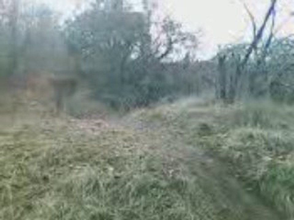 TOny en Dirt 125cc
