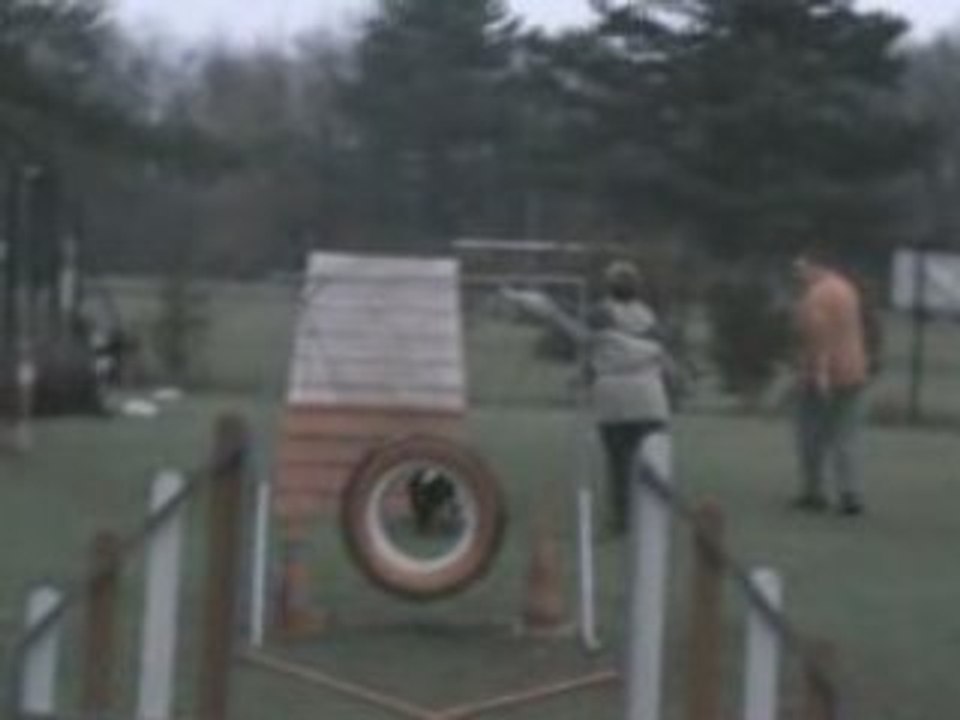 Tallia en agility