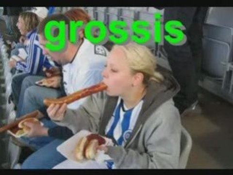 REPTILIENS 10 commandements