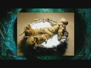 Le Labyrinthe de Pan