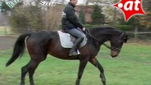 Pferdevorstellung Aloe, Reiterhof Sonja (2008-064)