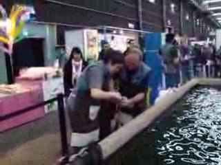 CARREFOUR NATIONAL PECHE LOISIRS