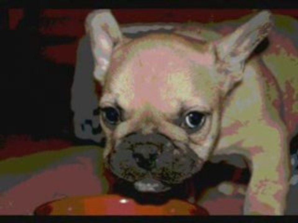 Montage de mon Nono d'amour !