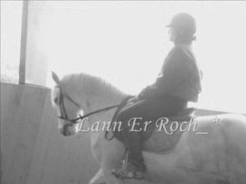 Lann Er Roch 17 janvier 2009