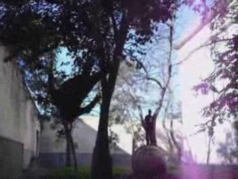 Presentacion Spirit Of Traceur 09