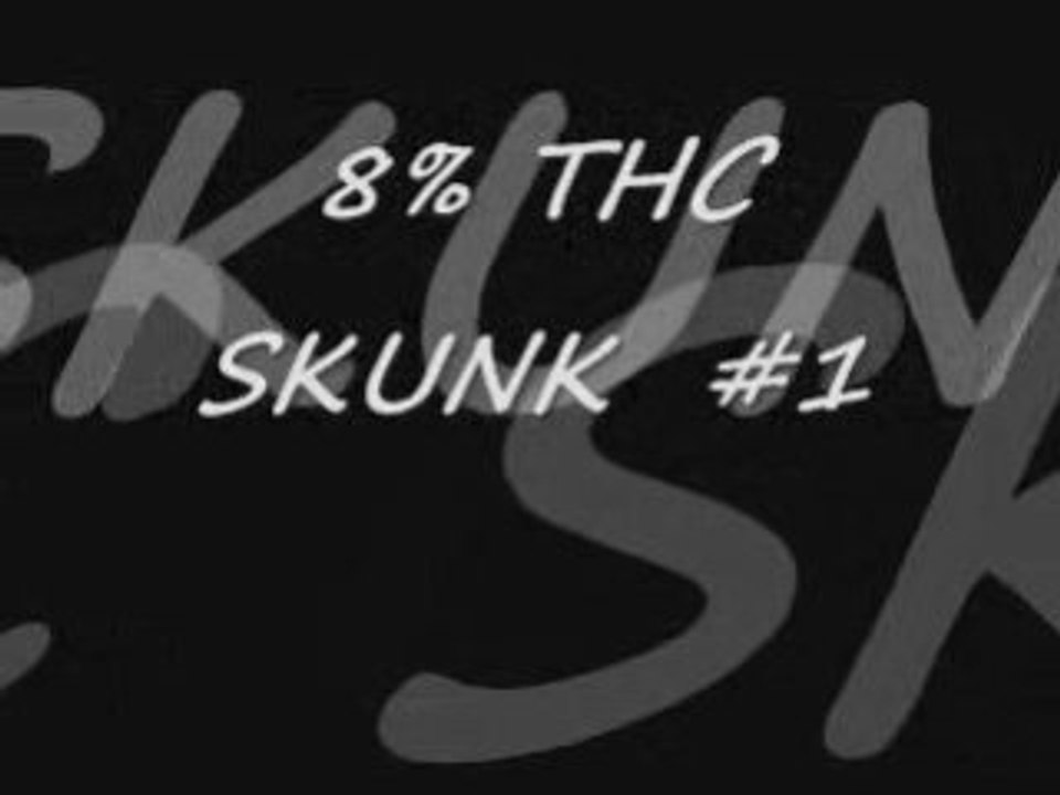 Dirt Poor Guerrilla Grower Marijuana