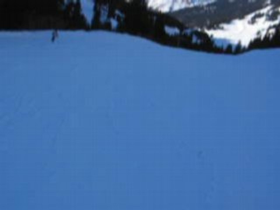 Ski à Avoriaz - Janvier 2009  - 4