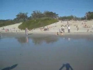 2009-01-17 - Plage de Carmel-By-The-Sea, Californie