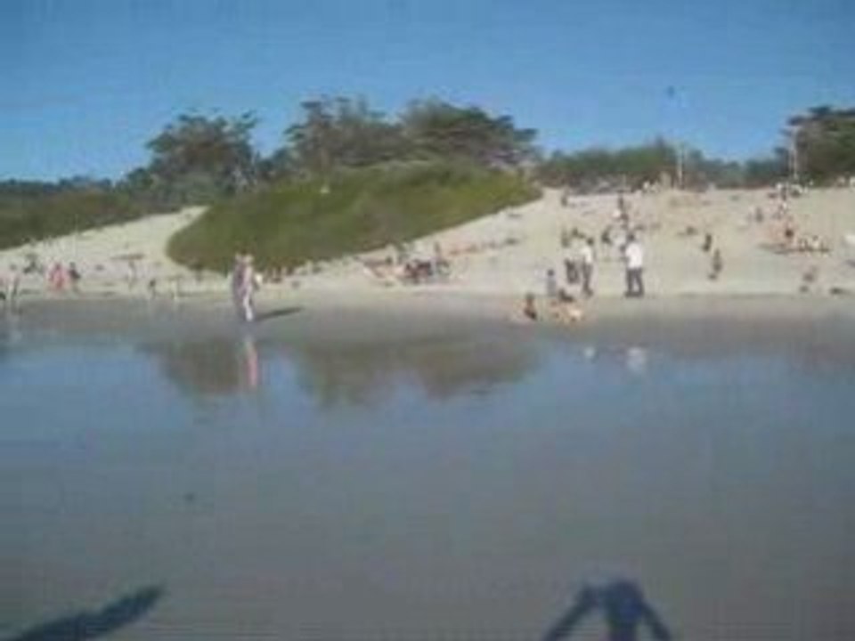 2009-01-17 - Plage de Carmel-By-The-Sea, Californie