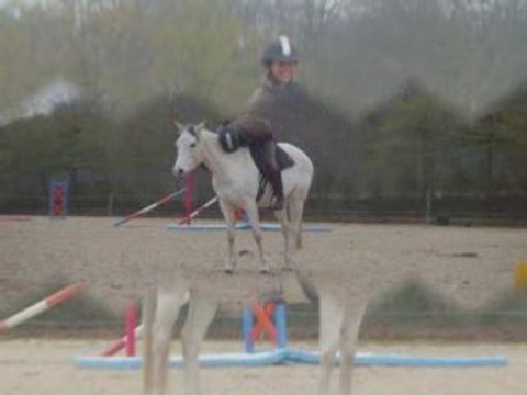 Seance cheval pratique