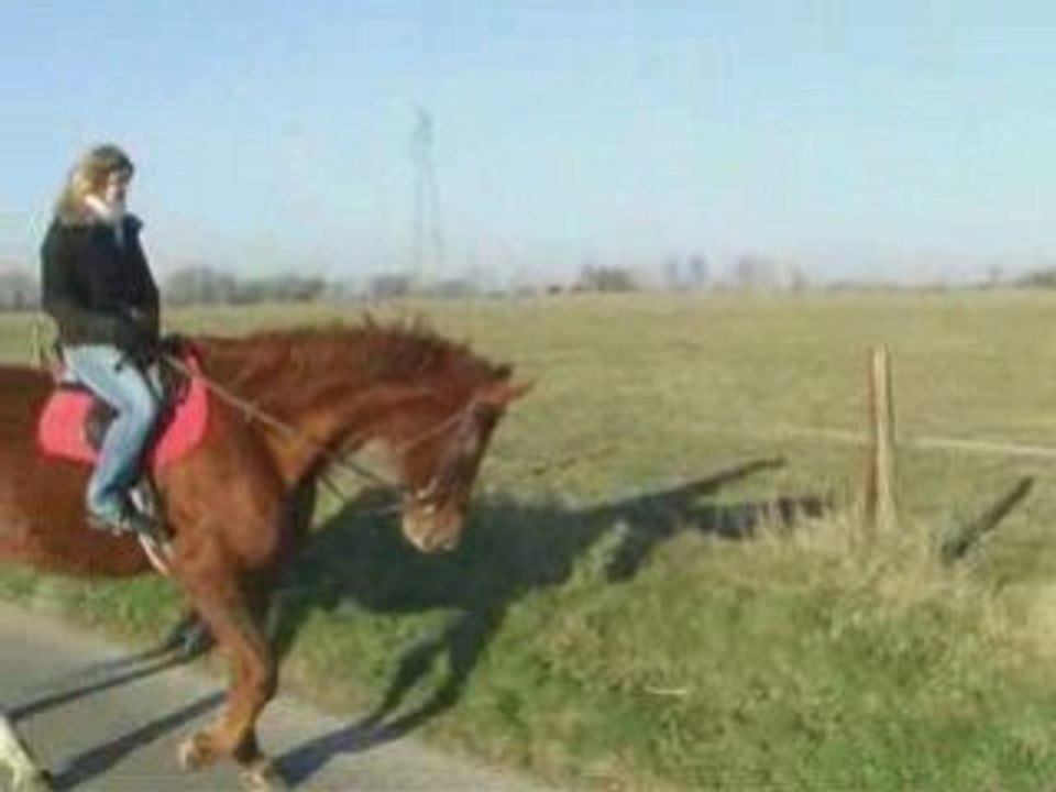 Janvier09 2009 1ere balade gwendo