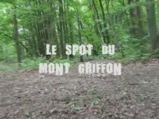 LE MONT GRIFFON