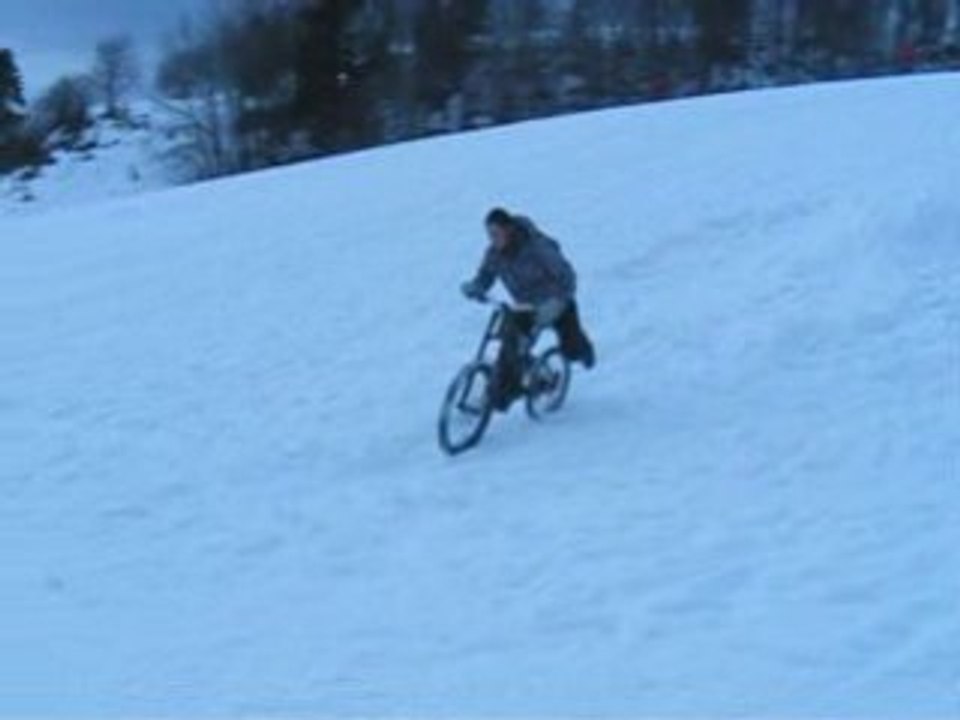 The winter session