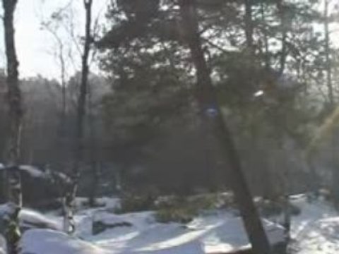 La forêt de Fontainebleau sous la Neige