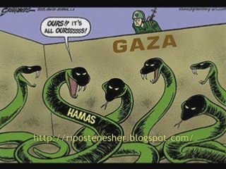 Amina une palestinienne sur le hamas   AJAX Maurice Aboujedid