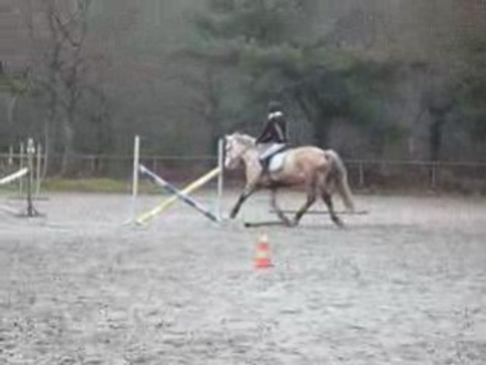 Mastic &&² Moii (|L"