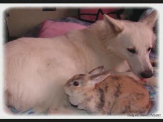 Visite chez mami 18.01.2009