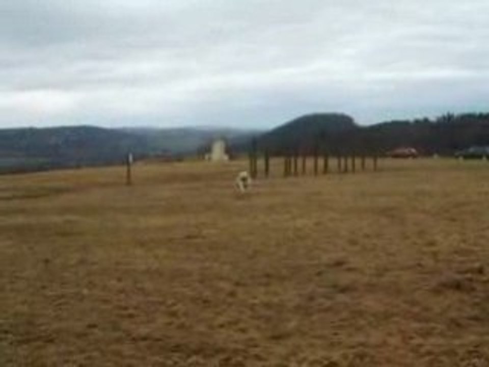 DSCF0065