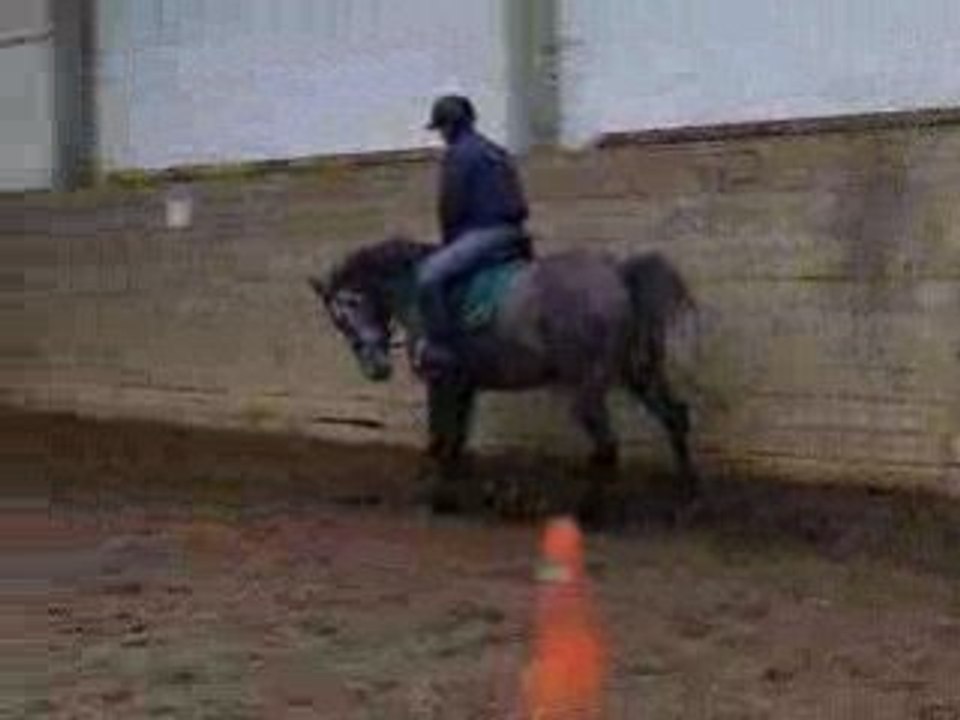Romtrot3