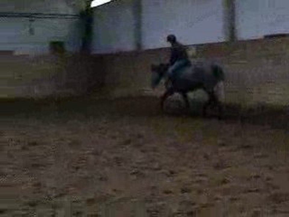 Romtrot2