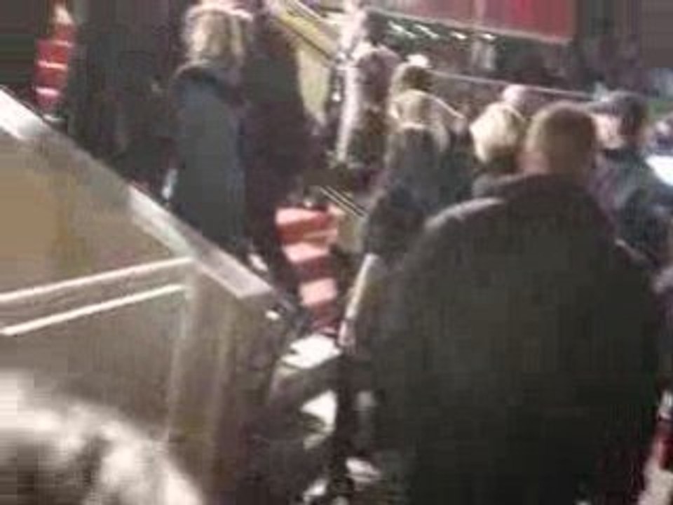 17.01.2009 - Kamel, Sofia & Chris' a la montée des marches !