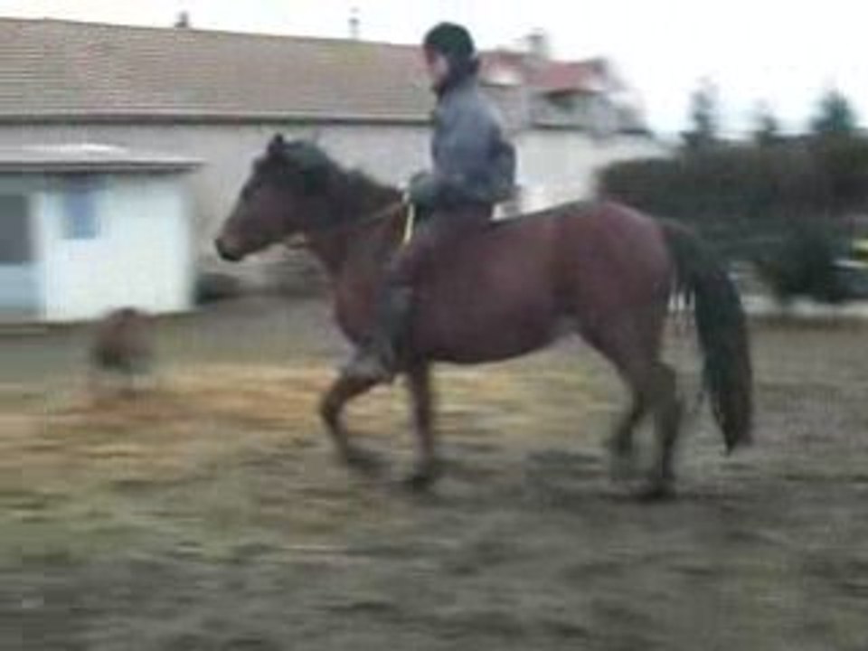 CIMG0170