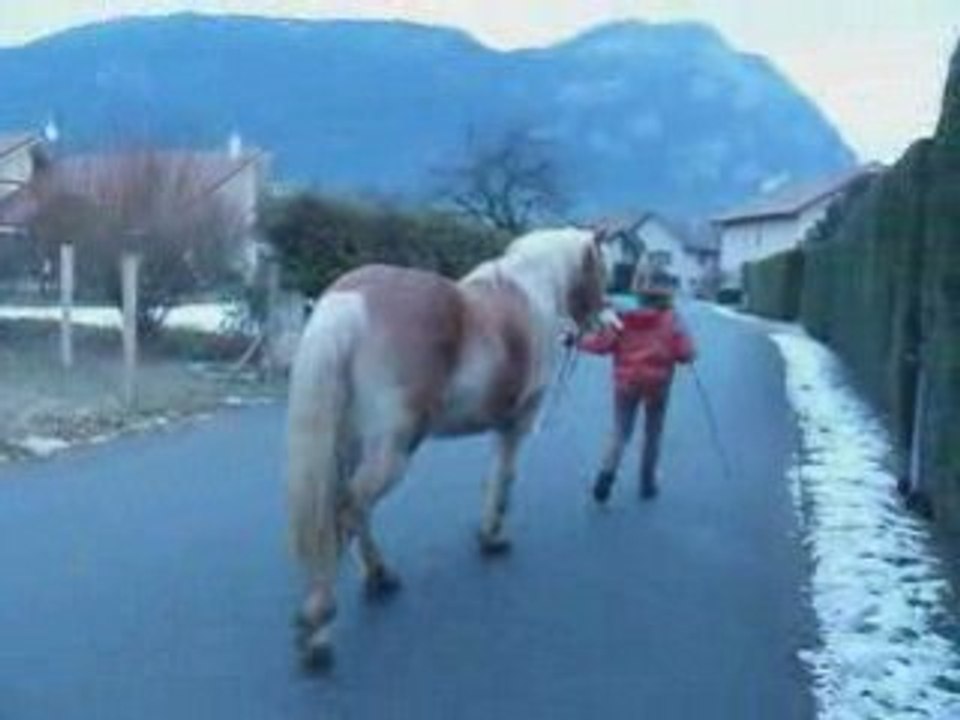 balade 18janvier