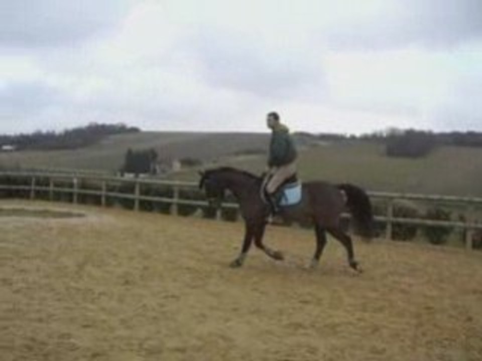Trot gauche cercle