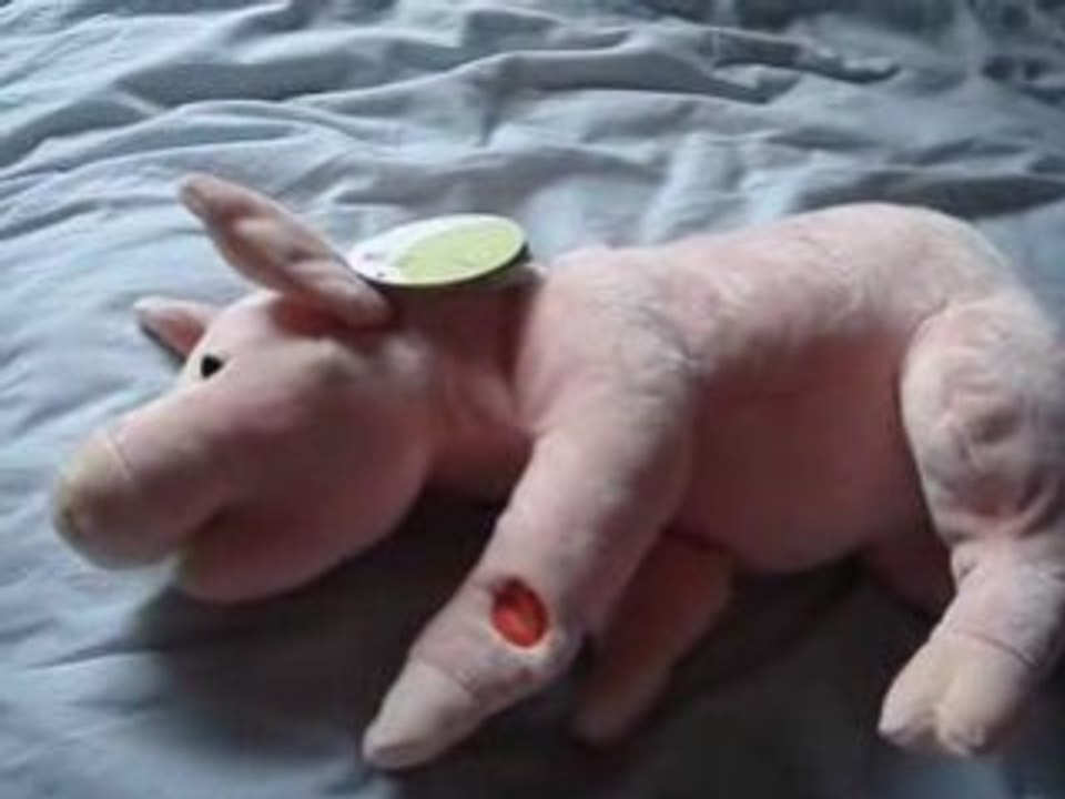 Mon cochon ronfleur