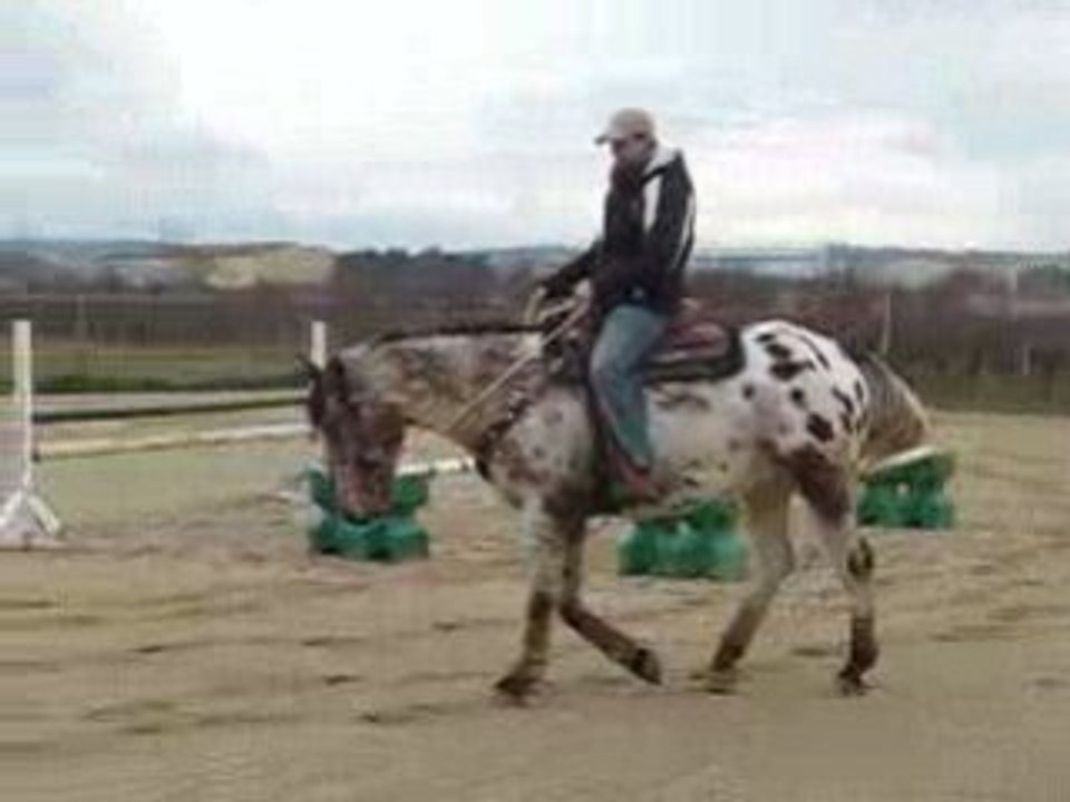 Monkop au pas