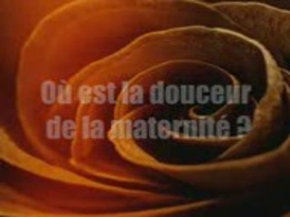 La_femme_et_son_foyer