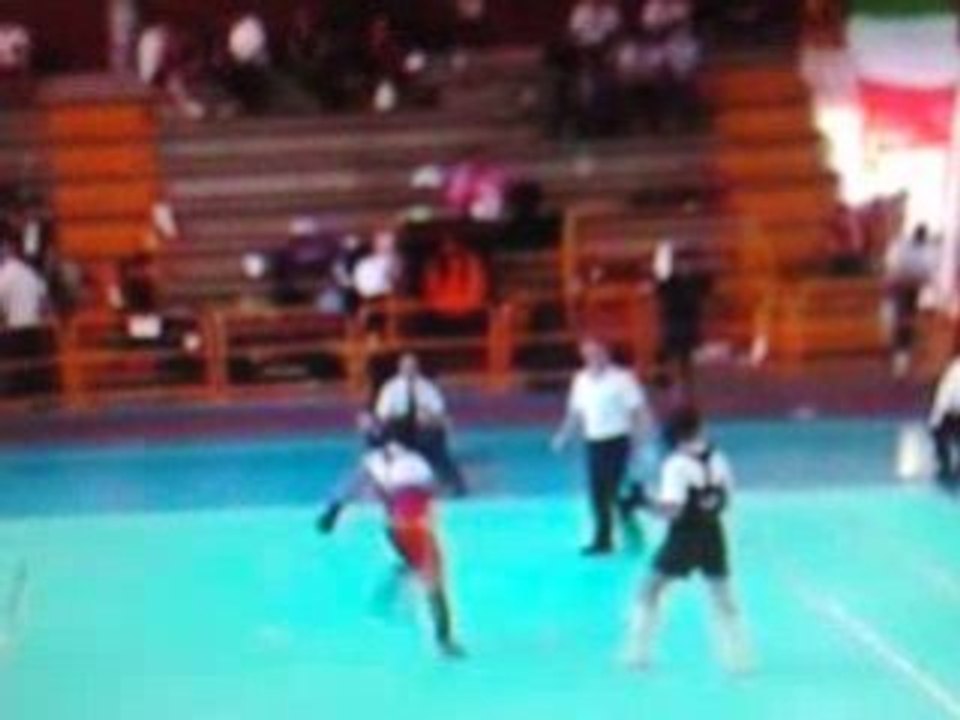 Fin. light  sanda  kung fu coni pe 08