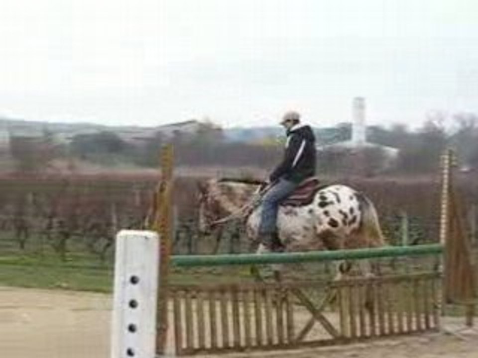 Monkop au trot
