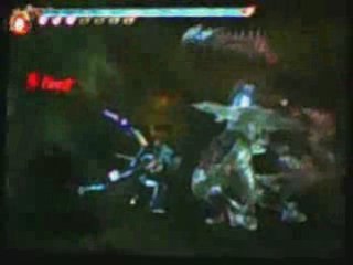 Ninja Gaiden II