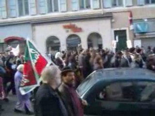 Manif à bourg en bresse contre le massacre israelien a gaza 8/8