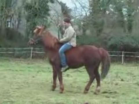 Vodka pas espagnol monté