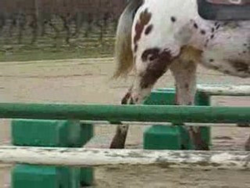 Monkop au trot