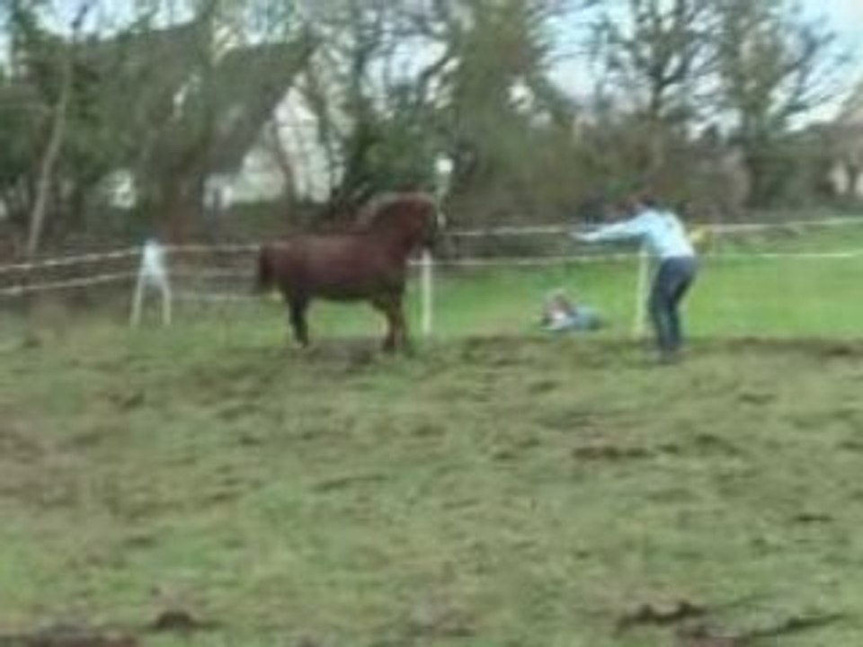 Vodka fait la folle dans son champs